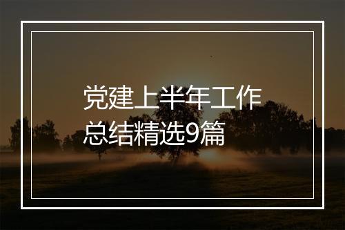 党建上半年工作总结精选9篇