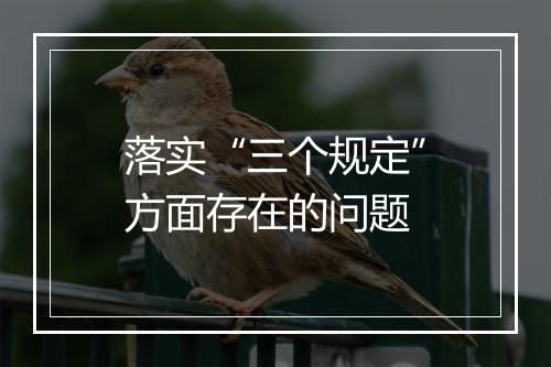 落实“三个规定”方面存在的问题