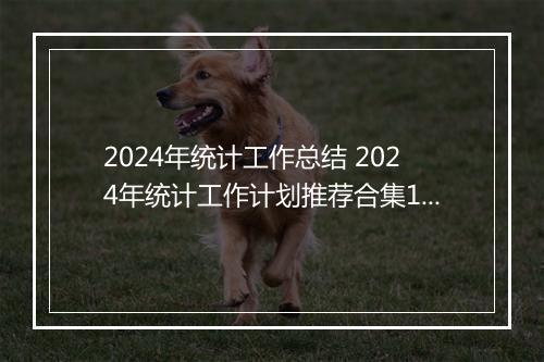2024年统计工作总结 2024年统计工作计划推荐合集10篇