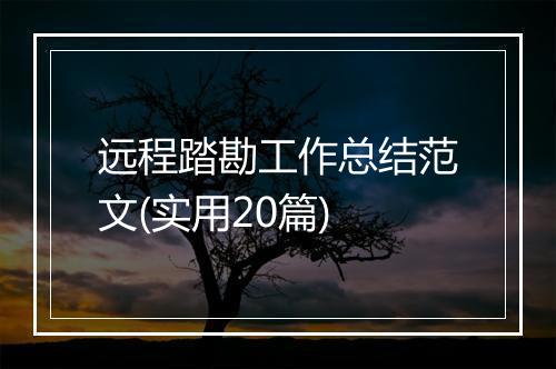 远程踏勘工作总结范文(实用20篇)