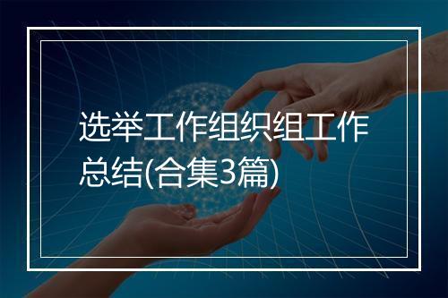 选举工作组织组工作总结(合集3篇)
