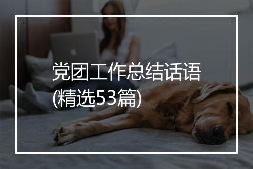 党团工作总结话语(精选53篇)