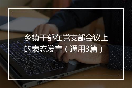 乡镇干部在党支部会议上的表态发言（通用3篇）