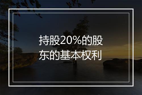 持股20%的股东的基本权利