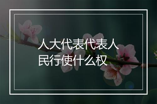 人大代表代表人民行使什么权