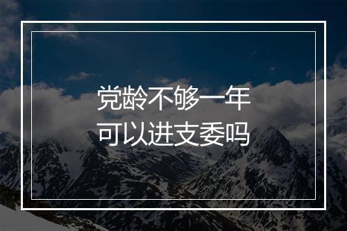 党龄不够一年可以进支委吗