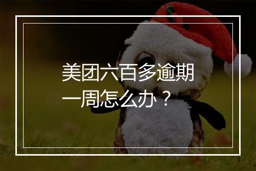 美团六百多逾期一周怎么办？