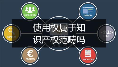 使用权属于知识产权范畴吗