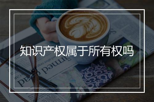 知识产权属于所有权吗