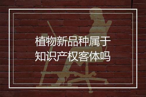 植物新品种属于知识产权客体吗