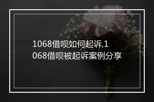 1068借呗如何起诉,1068借呗被起诉案例分享