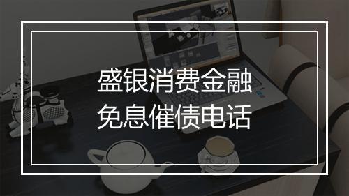 盛银消费金融免息催债电话