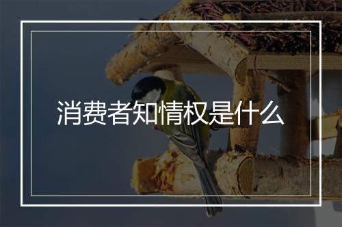 消费者知情权是什么