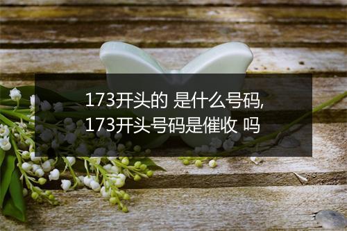 173开头的 是什么号码,173开头号码是催收 吗