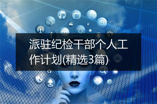 派驻纪检干部个人工作计划(精选3篇)