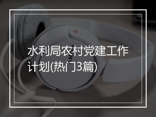 水利局农村党建工作计划(热门3篇)