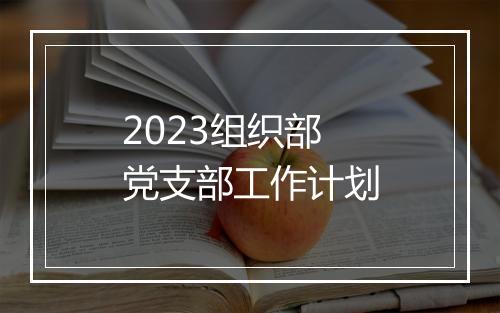 2023组织部党支部工作计划