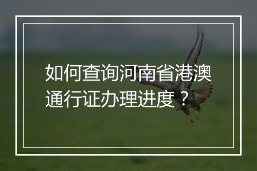 如何查询河南省港澳通行证办理进度？