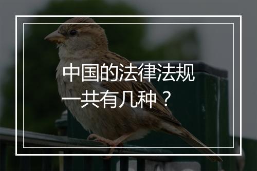中国的法律法规一共有几种？