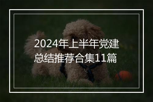 2024年上半年党建总结推荐合集11篇