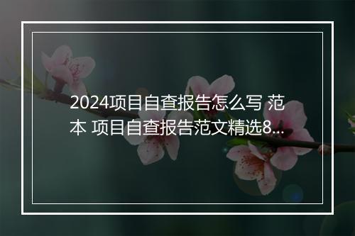2024项目自查报告怎么写 范本 项目自查报告范文精选8篇