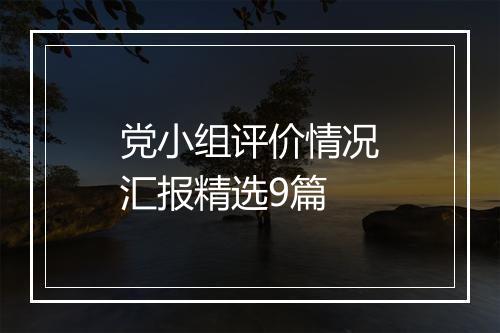 党小组评价情况汇报精选9篇