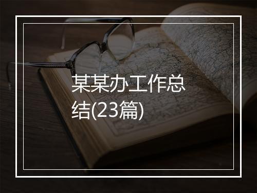 某某办工作总结(23篇)