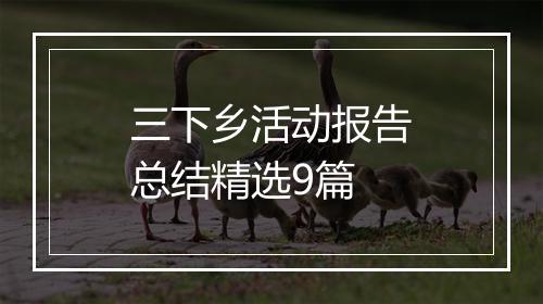 三下乡活动报告总结精选9篇