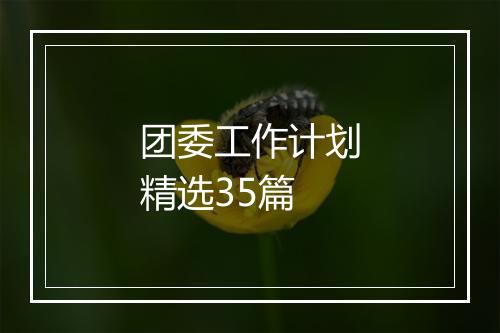 团委工作计划精选35篇