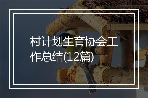 村计划生育协会工作总结(12篇)