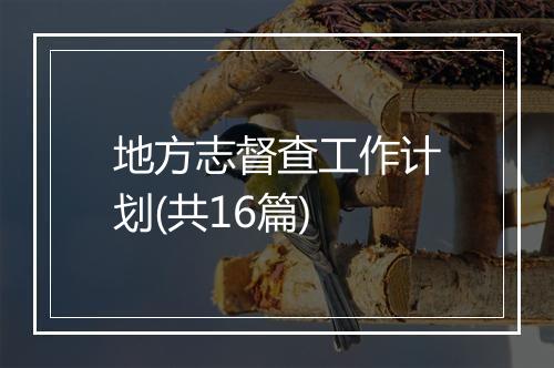 地方志督查工作计划(共16篇)