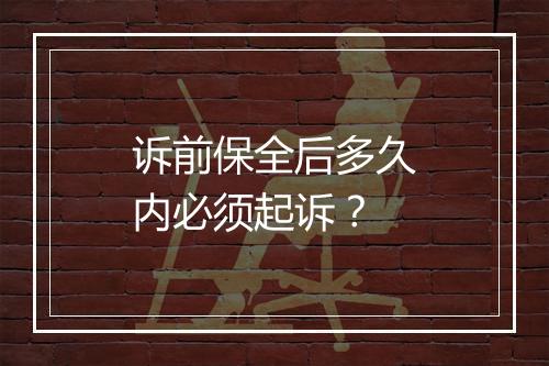 诉前保全后多久内必须起诉？