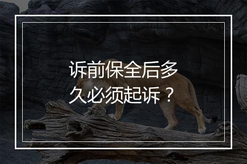 诉前保全后多久必须起诉？
