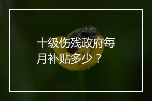 十级伤残政府每月补贴多少？