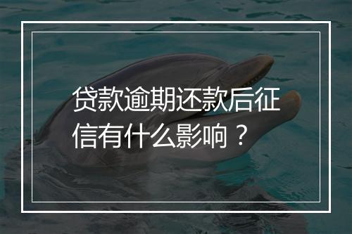 贷款逾期还款后征信有什么影响？