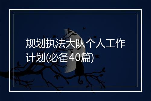 规划执法大队个人工作计划(必备40篇)