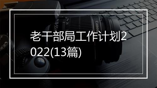 老干部局工作计划2022(13篇)