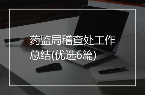 药监局稽查处工作总结(优选6篇)