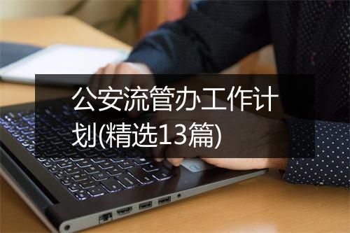 公安流管办工作计划(精选13篇)