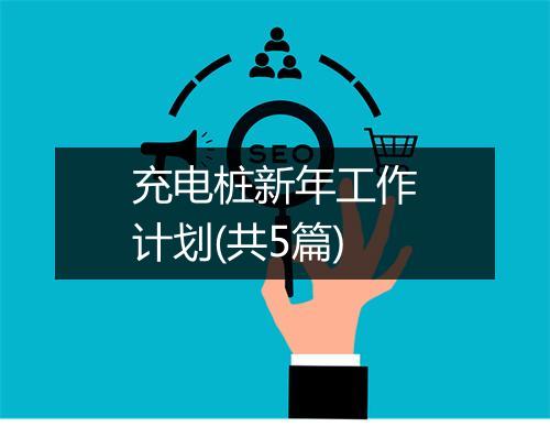 充电桩新年工作计划(共5篇)