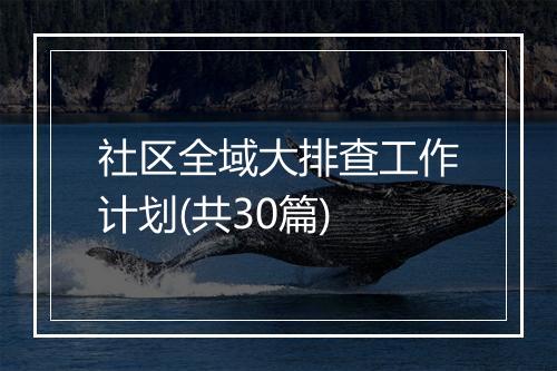 社区全域大排查工作计划(共30篇)