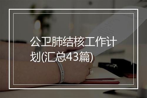 公卫肺结核工作计划(汇总43篇)