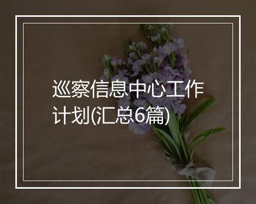 巡察信息中心工作计划(汇总6篇)