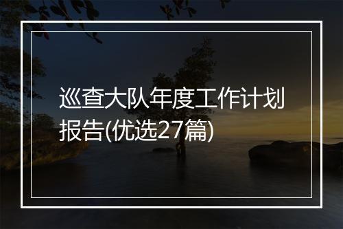 巡查大队年度工作计划报告(优选27篇)