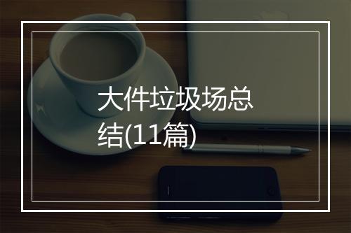 大件垃圾场总结(11篇)