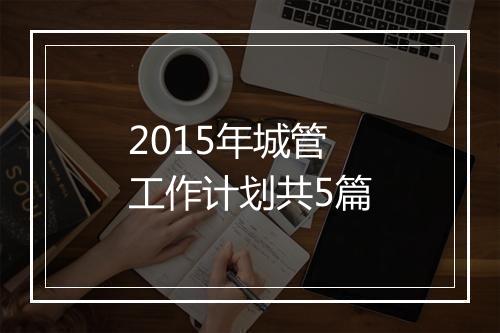 2015年城管工作计划共5篇