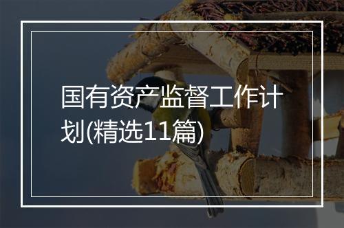 国有资产监督工作计划(精选11篇)