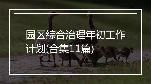 园区综合治理年初工作计划(合集11篇)