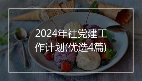 2024年社党建工作计划(优选4篇)