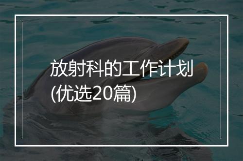放射科的工作计划(优选20篇)